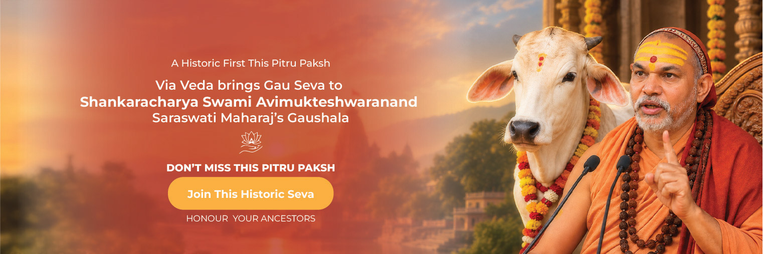 Bapu chadhava web eng
