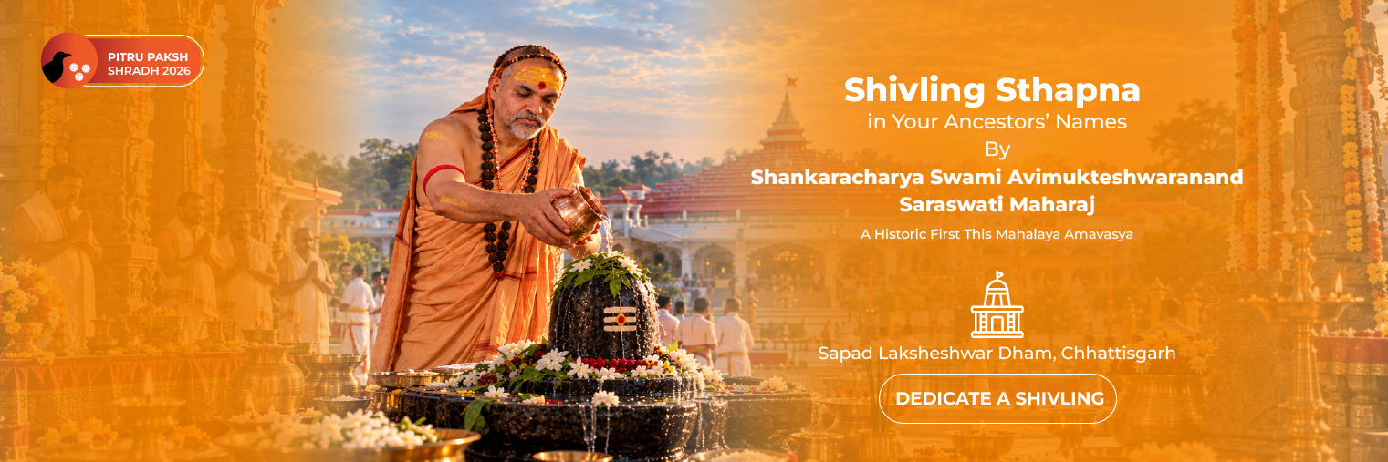 Shankaracharya_Shivling-old-web